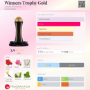 Perfume Winners Trophy Gold - Uma fragrância de conquista e presença